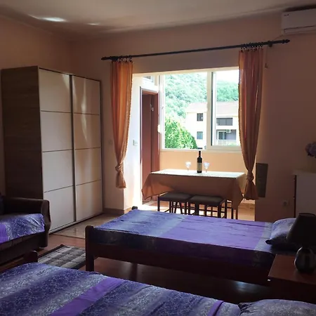 Apartment Kovach Kuti 3 Herceg Novi Exterior photo