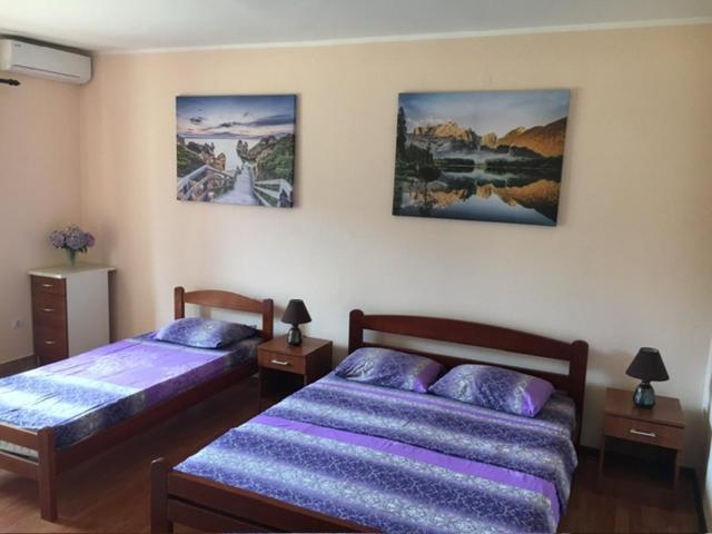Kovach Kuti 3 Herceg Novi